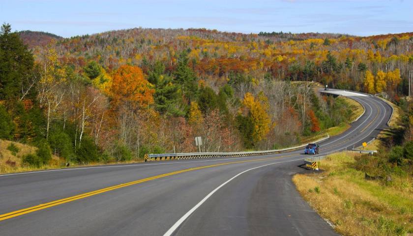 Fall foliage