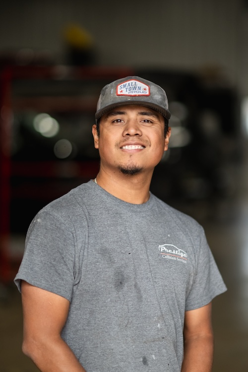 animal damage repair services